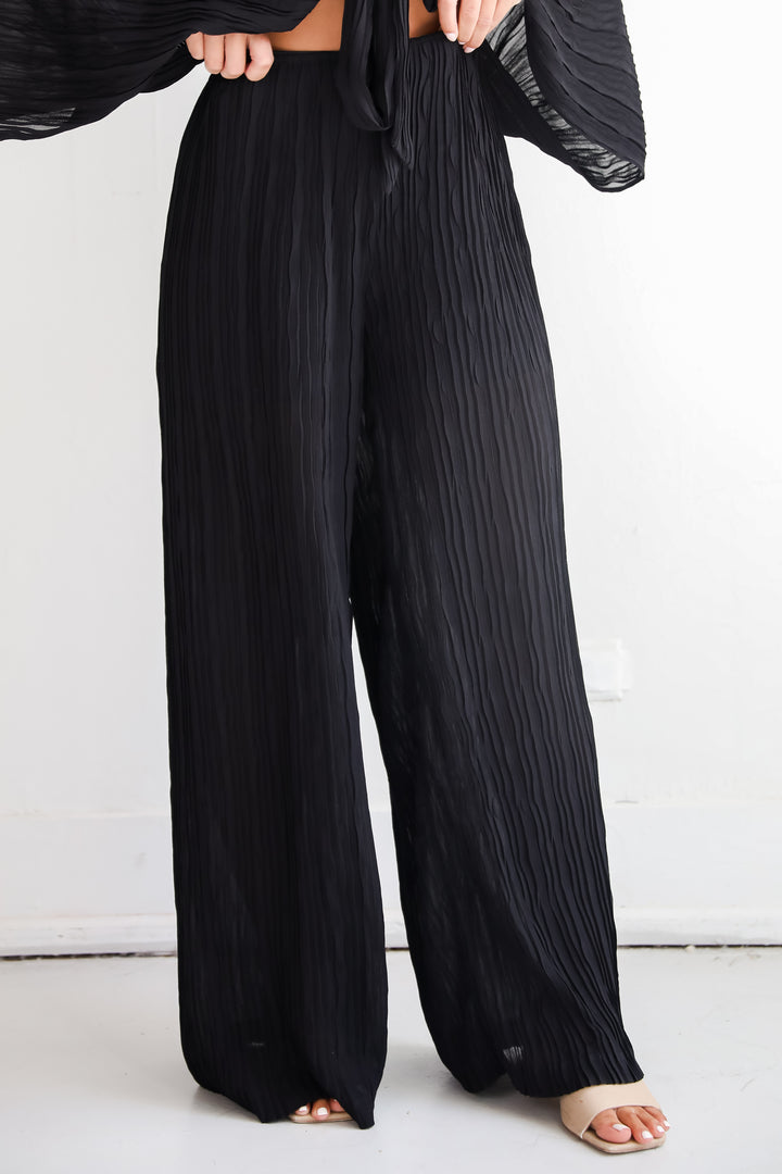 Sophisticated Step Black Pleated Wide Leg Pants