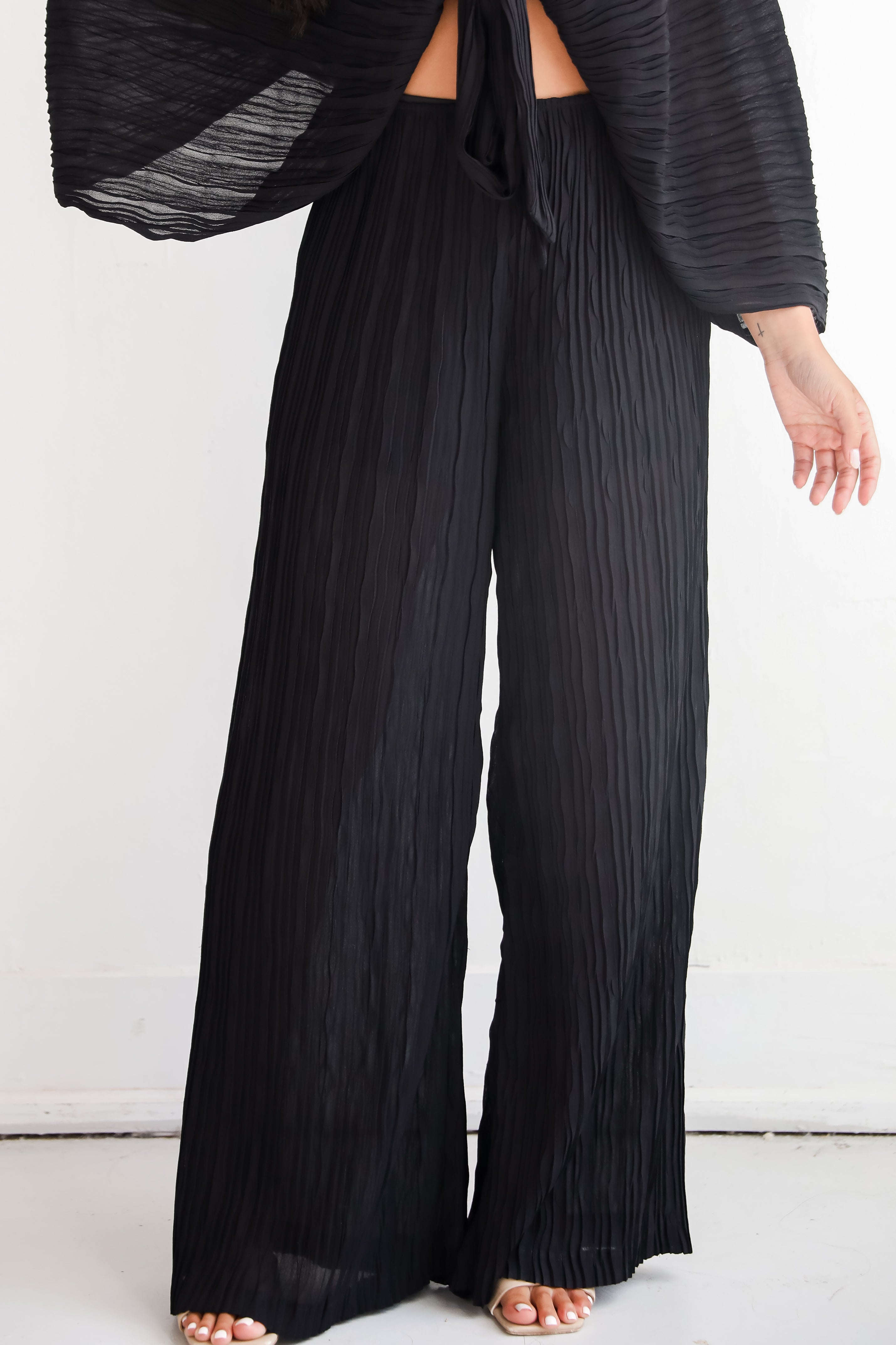 Sophisticated Step Black Pleated Wide Leg Pants