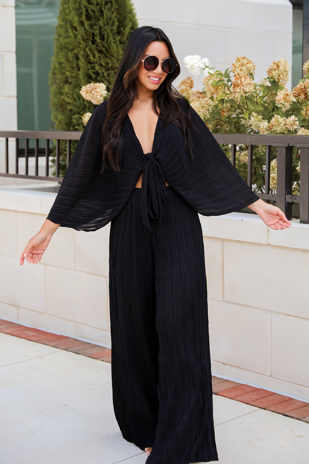 Sophisticated Step Black Pleated Wide Leg Pants