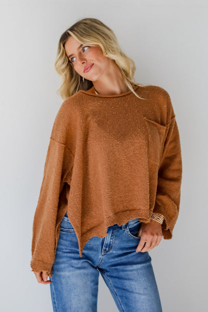 Cooler Forecast Brown Sweater