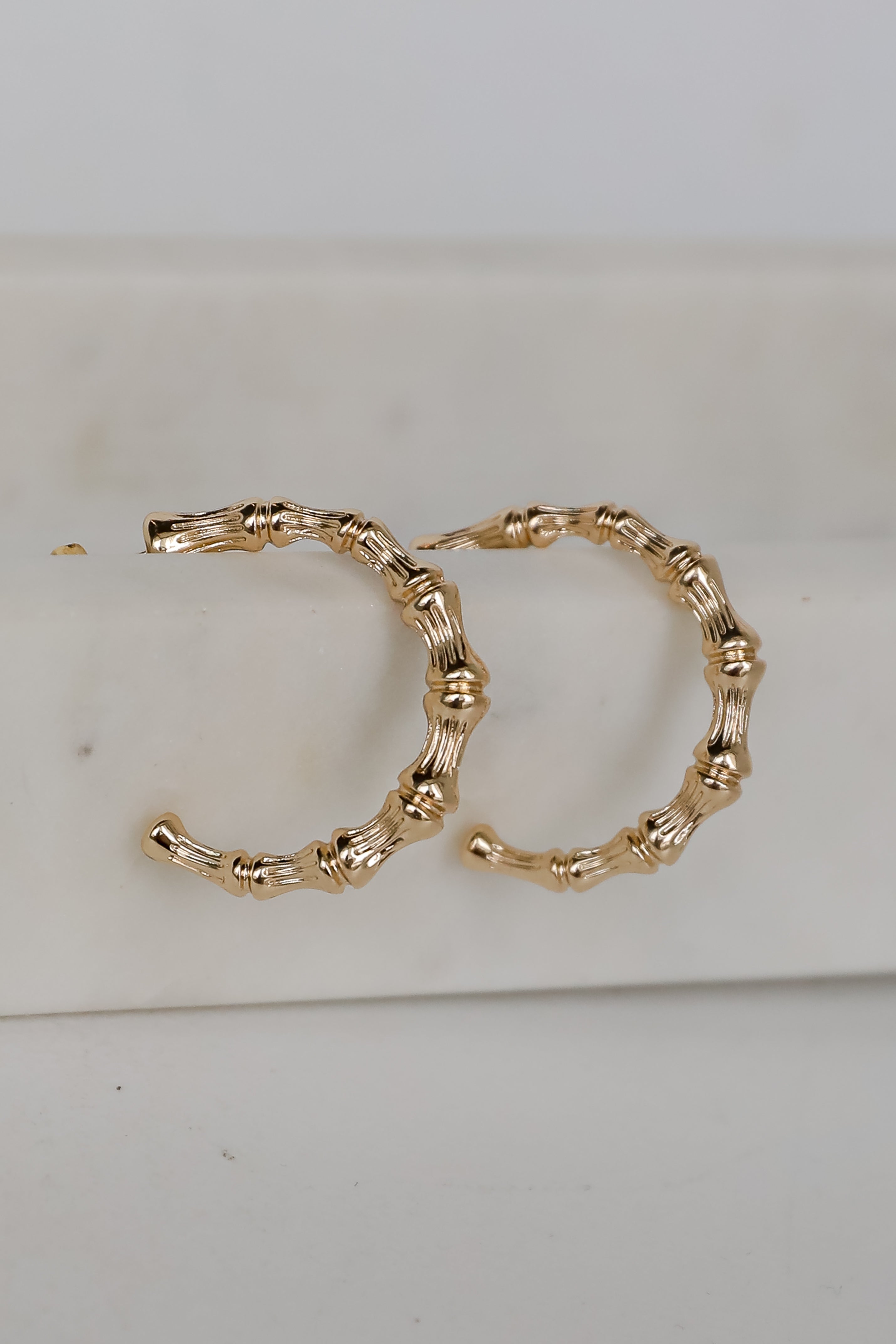 Delaney Gold Textured Hoop Earrings