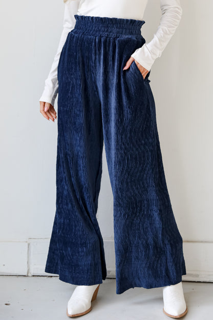 blue Velvet Plisse Pants close up