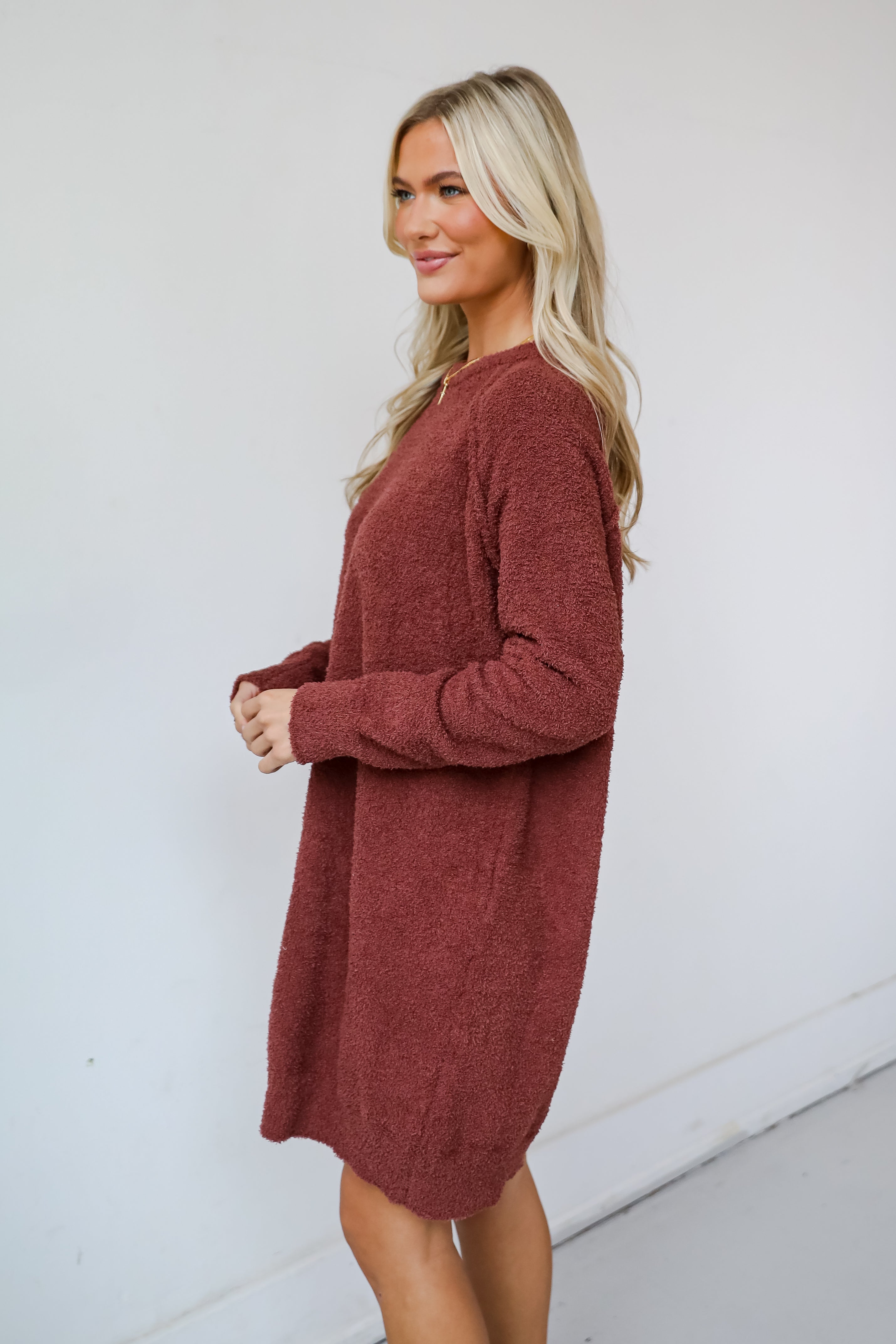 Addison Fuzzy Knit Mini Sweater Dress