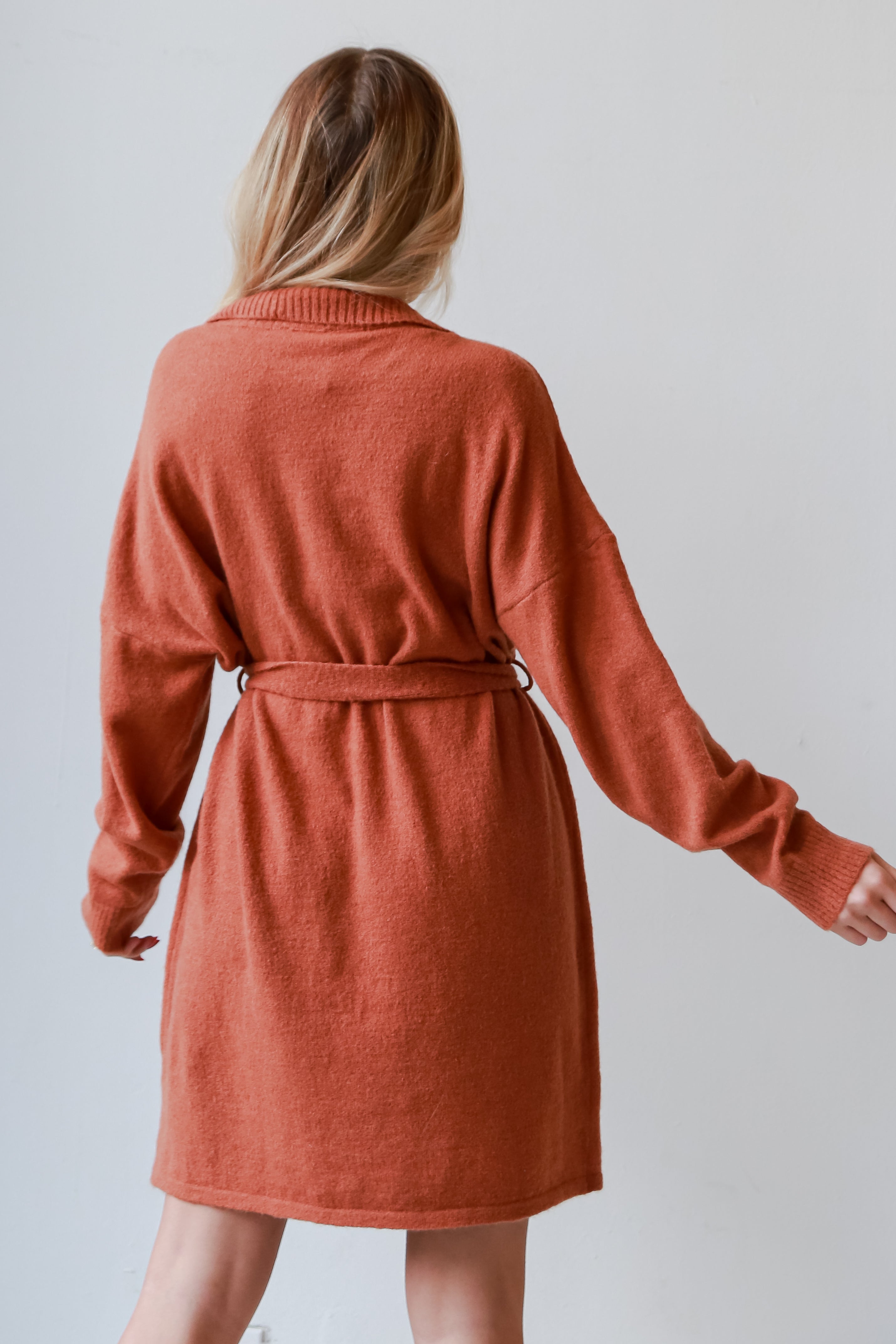 rust Sweater Dress back view