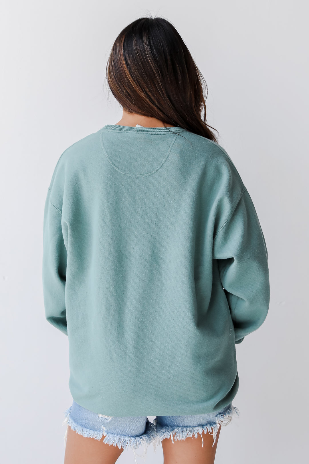 Seafoam Charleston South Carolina Pullover back view