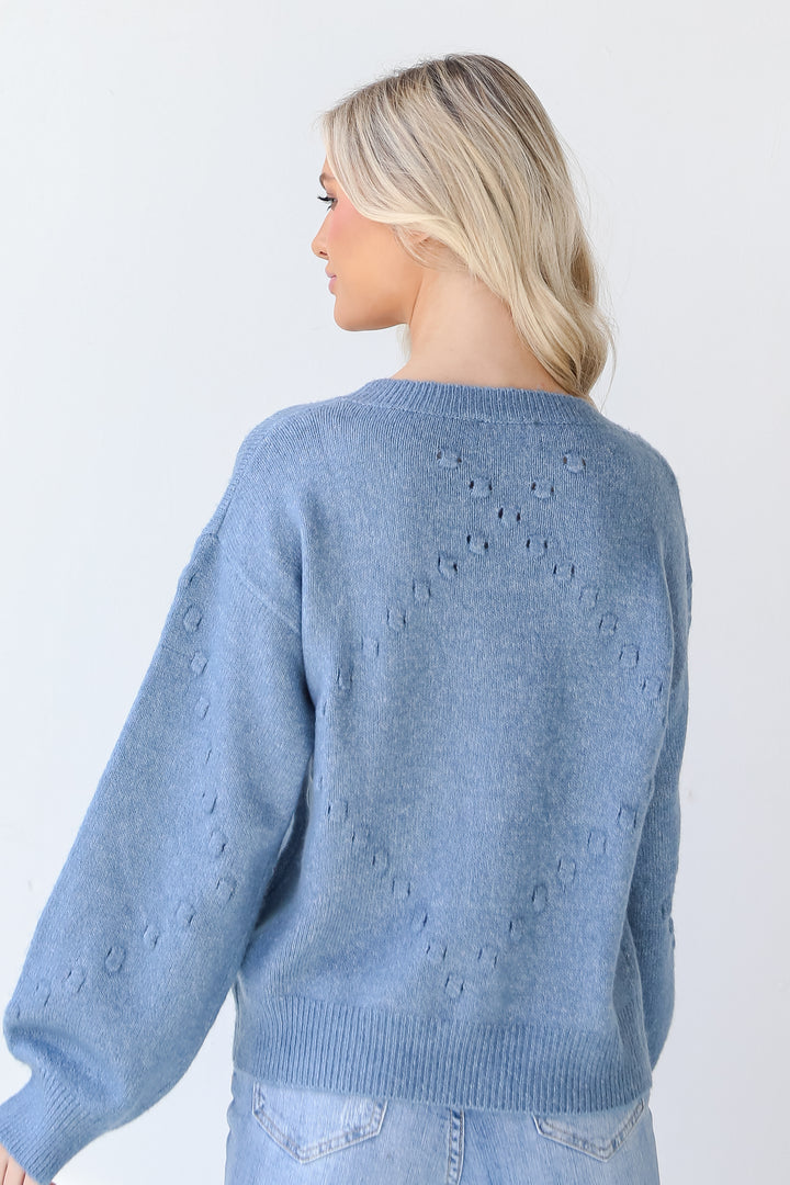 Sweater in denim back view