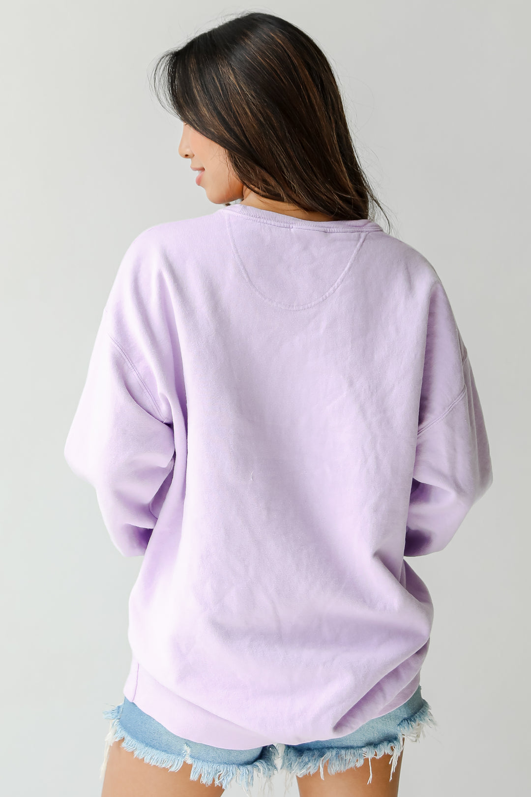 Lavender Charleston South Carolina Pullover back view