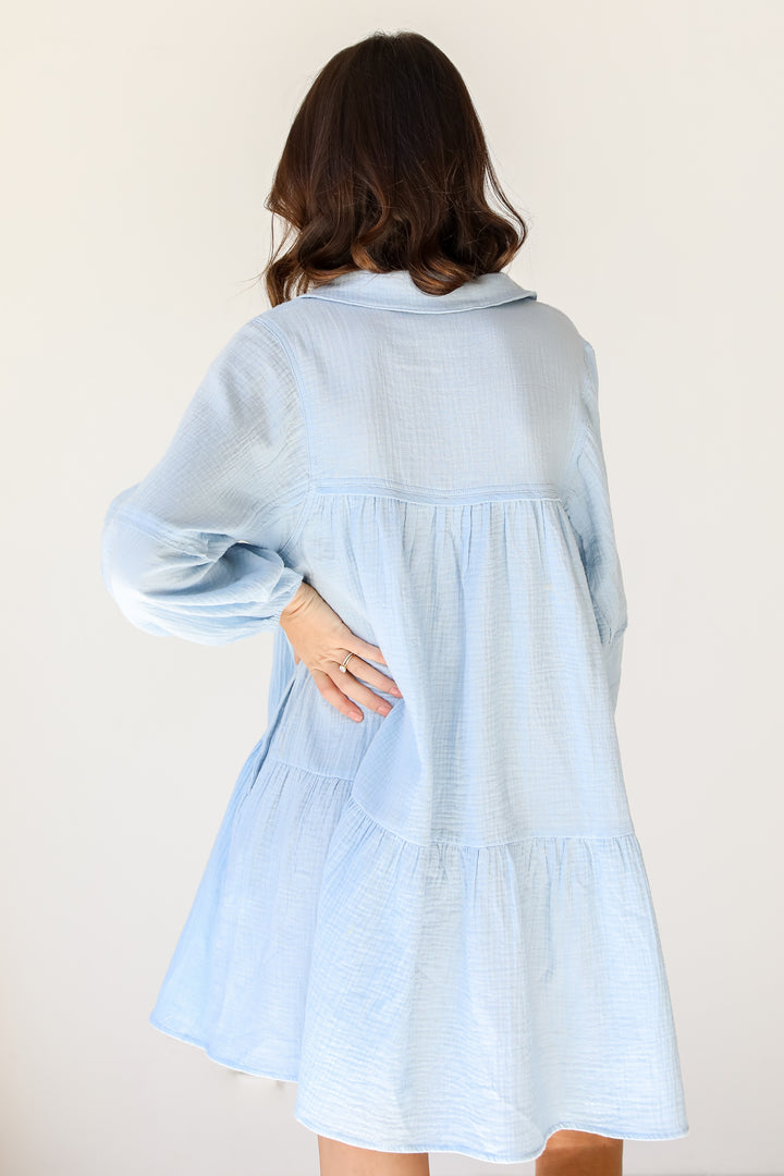 Linen Mini Dress back view